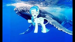 Пони клип:Синий кит (видео не моё)