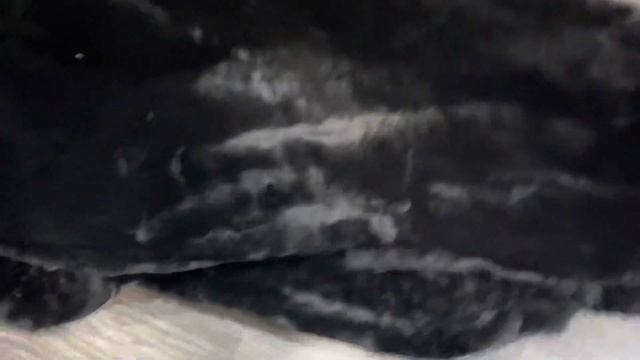 Меховые чехлы из овчины чёрные смотреть онлайн