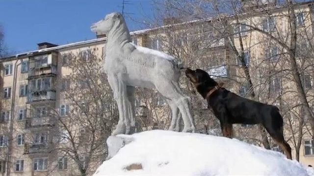 " Мой друг" Игорь Крутой и Игорь Николаев.avi смотреть онлайн