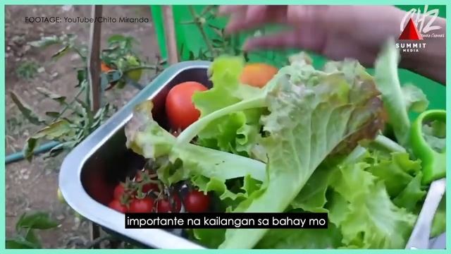 Neri Miranda Will Make You Want To Plant Your Own Vegetable Garden смотреть онлайн