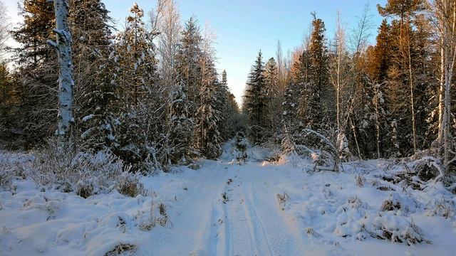 Солнечный зимний день. Снегоход VK 540 IV. Sunny winter day. смотреть онлайн