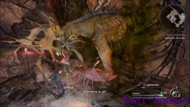 Episode Gladiolus Overview смотреть онлайн