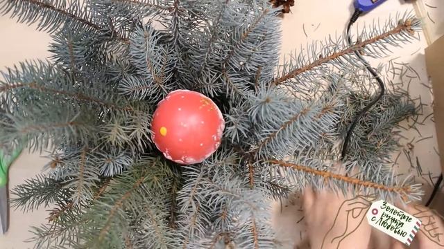 Новогодний букет из еловых веток смотреть онлайн