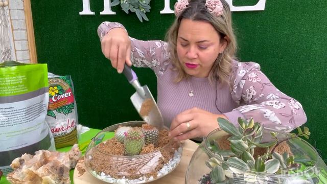 Como Hacer tu Propio Terrario de Cactus/ смотреть онлайн