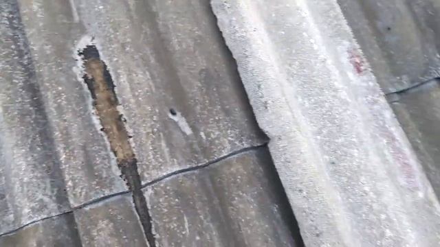 Искусство возрождения