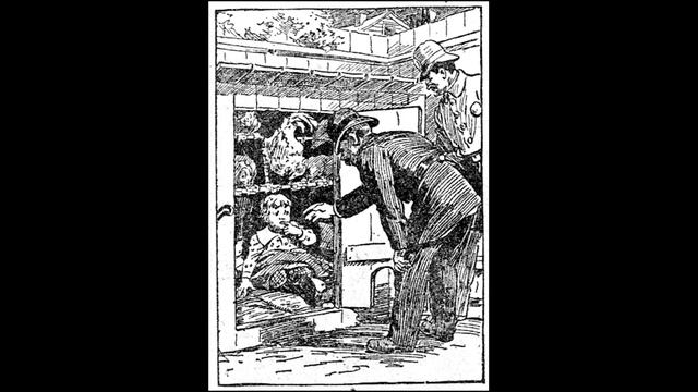 Weird Stories About People and Their Chicken Coops смотреть онлайн