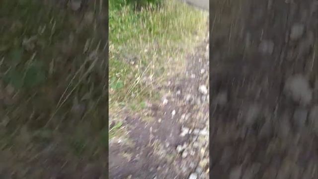 из Украины сидит на сайте компании ООО ремонт артём гришанов Пекине и не только сегодня смотреть онлайн