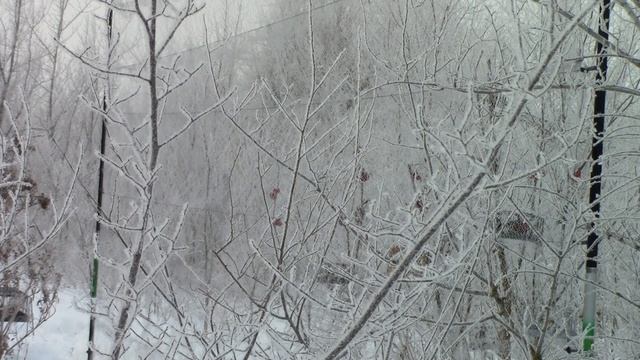 ловля снегирей в туман смотреть онлайн