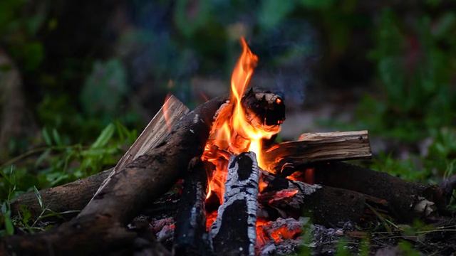 Relaxing Campfire Fireplace At Tropical Forest 🔥 Campfire With Burning Logs & Fire Sounds