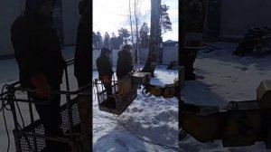 Как на участке убрать березу