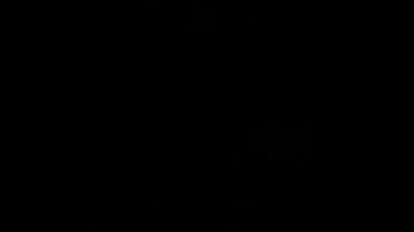 Best Wallpapers RESIDENT EVIL [4 + REMAKE] - WALLPAPER ENGINE