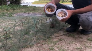 Ловля Раков на Волге в Астраханской области