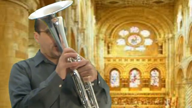Cello Concerto Finale - Franz Joseph Haydn. Tenor Horn and Piano. смотреть онлайн