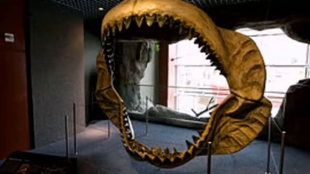 Мегалодон жив! Информация о мегалодоне! смотреть онлайн