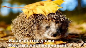 Азбука времён года: осень - Владимир Степанов