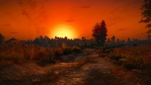 The Witcher 3 Emotional and Relaxing Soundtrack - Sunsets - Witcher Music