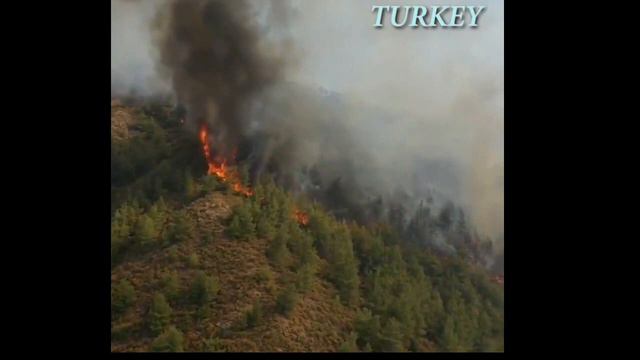 Global Red Alert: United Nations | TURKEY & SIBERIAN FOREST FIRE | SAVE ENVIRONMENT | смотреть онлайн