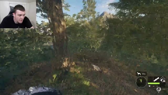 Hunting Down the WILD TURKEY!!! (Livestream) смотреть онлайн