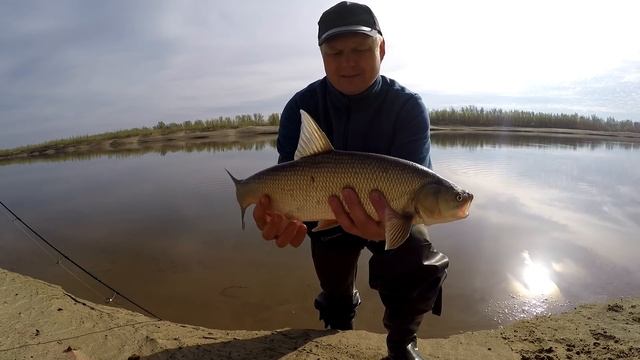Рыбалка на Ахтубе. Апрель. часть 2.