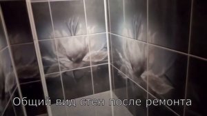 ТУАЛЕТ ПЛАСТИКОМ / ОБШИВКА СТЕН ПАНЕЛЯМИ