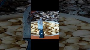 Сушим чеснок для длительного хранения