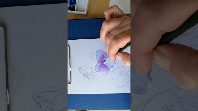 Лесные фиалки Часть 1 смотреть онлайн