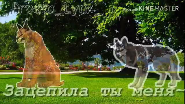 W C M V:З а ц е п и л а🎃(При уч. Локи и Эрики) смотреть онлайн