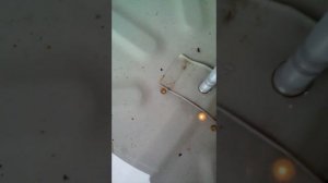 Nissan Almera G15 вода в багажнике!!!