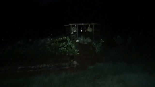 ThruNite TH20 Headlamp Give Away ~ Get One Free