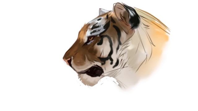 ?How to draw a tiger step by step / Как нарисовать тигра? смотреть онлайн