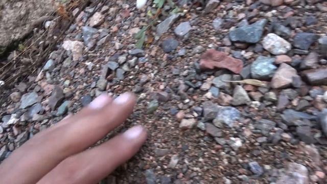 После дождя нашёл жёлтый сапфир смотреть онлайн