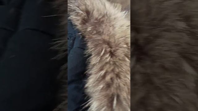 Обсервация в СМВ смотреть онлайн