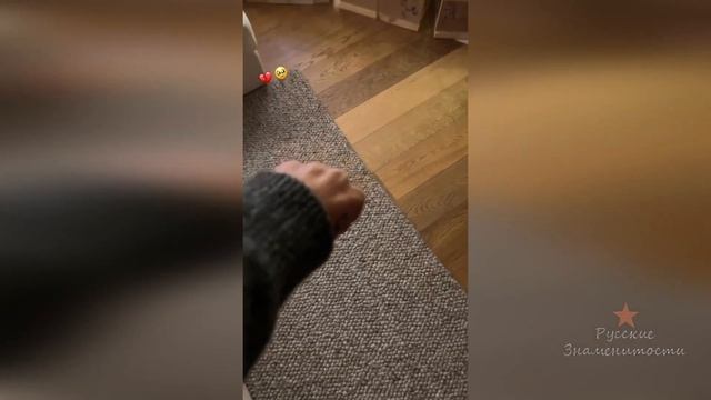 Настя Ивлеева уже украсила елку на новый год 2023 смотреть онлайн