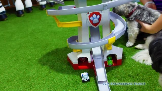 Assistants Giant Box Fort Hunt for Paw Patrol Adventure Bay Playset смотреть онлайн