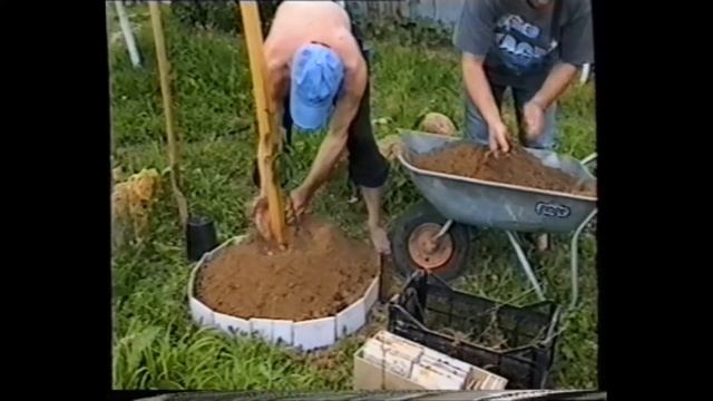 Груша Мичуринская Груша Чижовская Люстра Чижевского 20030706 #Папа #ГрушаМичуринская #ГрушаЧижовска смотреть онлайн