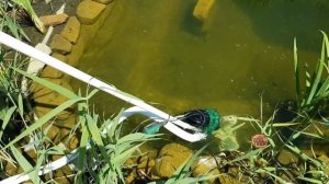 ✅Пылесос для бассейна своими руками✅Пылесос для пруда своими руками✅Пылесос из дренажного насоса