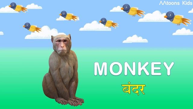 Animals Name for Kids in English | Wild and Domestics Animals video | @AAtoonsKids смотреть онлайн