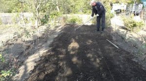 малина МАРАВИЛЛА малина как сажать ПРАВИЛЬНО лучший сорт МАЛИНЫ МАРАВИЛЛА