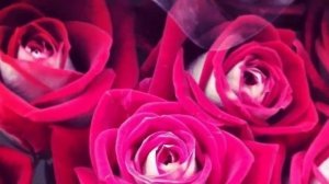 поздравления с юбилеем 50 женщине