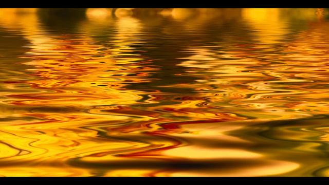 Kungfunt - Brain Train смотреть онлайн