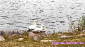 Санаторий Плисса Беларусь ?? | Наш честный отзыв| Рум-тур номера | Белоруссия