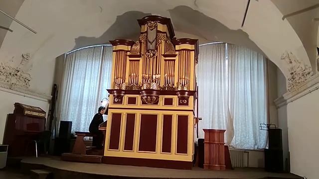 Орган в Доминиканском соборе города Львова смотреть онлайн