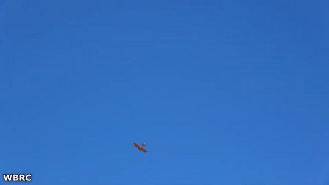 Curtiss JN Jenny смотреть онлайн