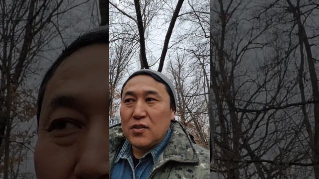 как сделать так чтобы деньги бегали за вами. смотреть онлайн