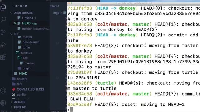The Git & Github Bootcamp | P19: The Power of Reflogs - Retrieving Lost Work смотреть онлайн