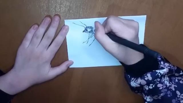 Как нарисовать муравья??/Легко и просто!??? смотреть онлайн