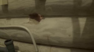 Сверлим отверстие большого диаметра в деревянной (бревенчатой) стене.