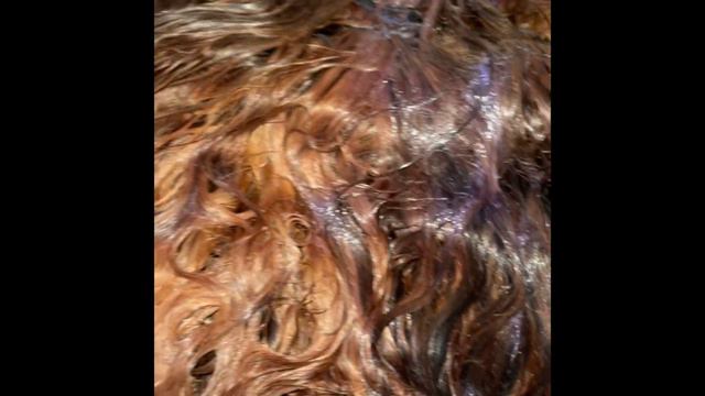 CHOCOLATE HAZELNUT BROWN HAIRCOLOR 🍫 | Perfect DIY Brown Haircolor For Brown Skin! 🤎 Erica Danley