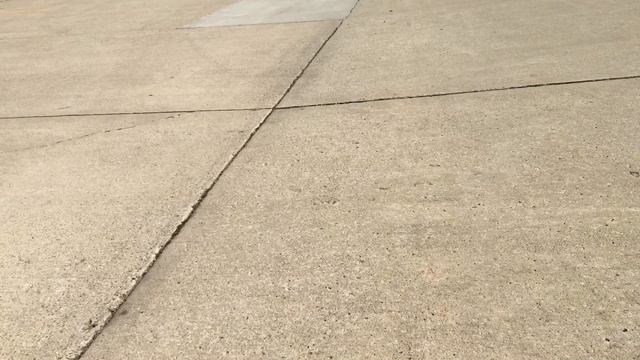 Go Go Bird - Fly Like a Real Bird! смотреть онлайн