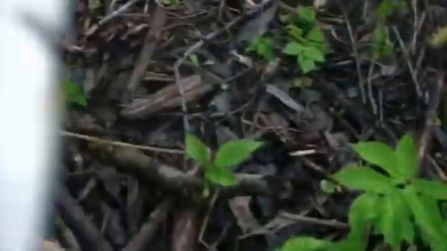 Ловля голавля весной смотреть онлайн